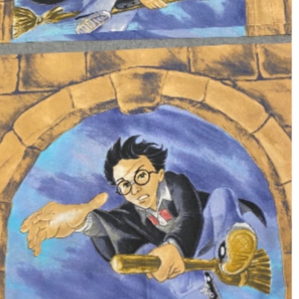 Vintage Y2K Harry Potter Pillow Cases (Two Set) Hermoine and Harry 2000